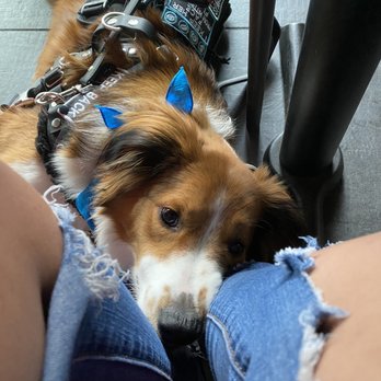 Giordano's - Me, my mom, and my service dog out for some deep dish - Pizza Near Me - Indianapolis, Indiana Giordano's - Me, my mom, and my service dog out for some deep dish - Pizza Near Me - Indianapolis, Indiana