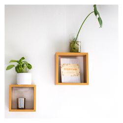 Zen Space: Acupuncture + Massage + Chiropractic - Room decor