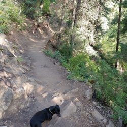Thayne Canyon Loop Trail - Dogs allowed on trail