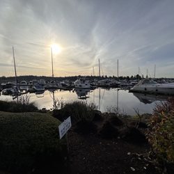 Carillon Woods - The harbor