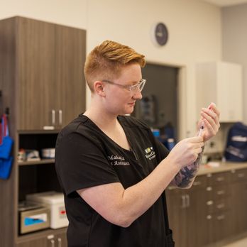 Maple Grove Pet Hospital - Veterinarians Near Me - Maple Grove, Minnesota Maple Grove Pet Hospital - Veterinarians Near Me - Maple Grove, Minnesota