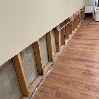 Rose Restoration Services - Mold Removal - Waterproofing Near Me - Park Ridge, Illinois Rose Restoration Services - Mold Removal - Waterproofing Near Me - Park Ridge, Illinois