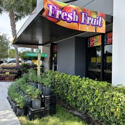 The Produce Spot - Entrance. Lots of fresh herbs and flowers by the door