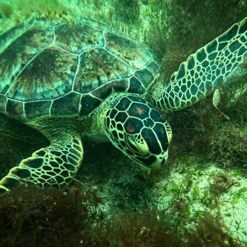 Try Scuba Diving - Scuba Diving Near Me - San Juan, Puerto Rico