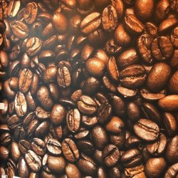 O-Cortado - Interieur