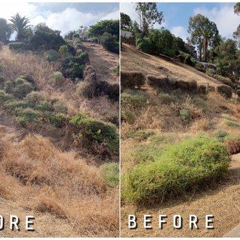 Juans Landscaping - Yard clean up - Landscaping Near Me Juans Landscaping - Yard clean up - Landscaping Near Me