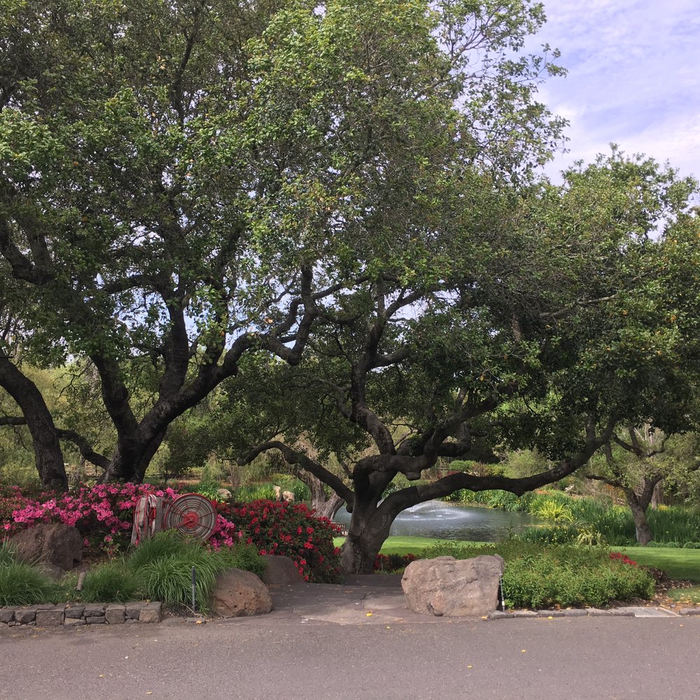Far Niente - Wineries Near Me - Oakville, California Far Niente - Wineries Near Me - Oakville, California