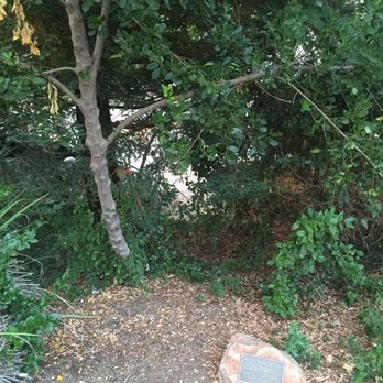 Village Park - Parks Near Me - Los Altos, California