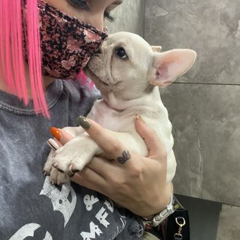 Petland -McKinney - Pet Stores Near Me - McKinney, Texas