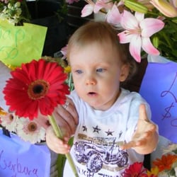 Impulsive Flowers - Family owned and operated