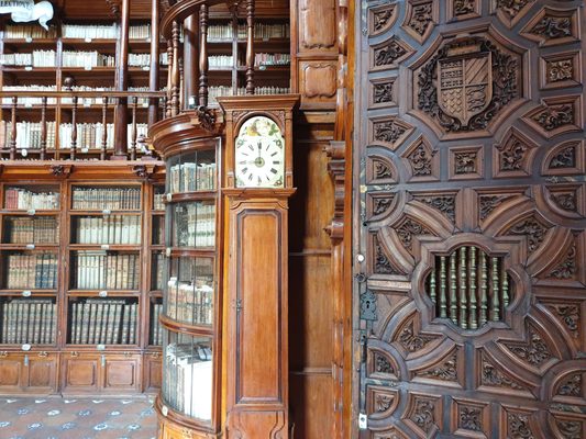 Biblioteca Palafoxiana by null