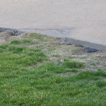 Ryegrass Rest Area - Holes under the cement where the little rodents would run home. - Rest Stops Near Me - Vantage, Washington