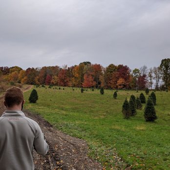 Heritage Farms - It's also a Christmas tree farm - Christmas Trees Near Me - Peninsula, Ohio Heritage Farms - It's also a Christmas tree farm - Christmas Trees Near Me - Peninsula, Ohio