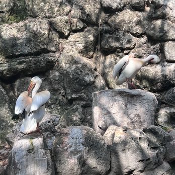 Xcaret Park - Amusement Parks Near Me - Playa del Carmen, ROO