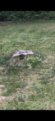 Bucky's Stump Grinding on Yelp