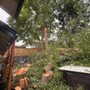 Photo of Weasels Tree Service and Landscaping