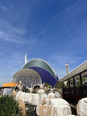 Oceanogràfic València by null
