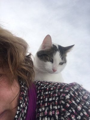 Animal Hospital Of Waynesboro Veterinarians 2637 W Main St Waynesboro Va Phone Number Yelp