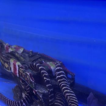 Aquatic Warehouse - Aquarium Services Near Me - San Diego, California Aquatic Warehouse - Aquarium Services Near Me - San Diego, California