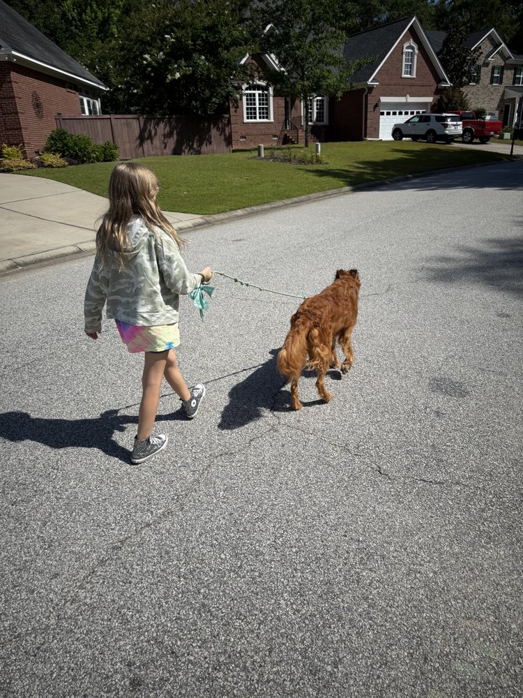 Lexington Dog Walk - pet boarding facility in Lexington, SC