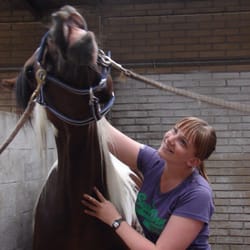 Hippologen - Hest der nyder massagen