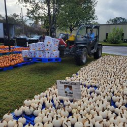 St James UMC Pumpkin Patch