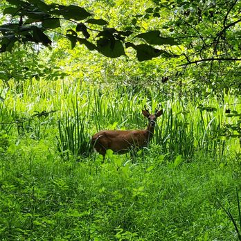 Claytor Lake State Park - Hello! - Parks Near Me - Dublin, Virginia Claytor Lake State Park - Hello! - Parks Near Me - Dublin, Virginia