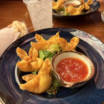 Yolo Sushi Bar - Crab Rangoon - Japanese Near Me - Morristown, Tennessee Yolo Sushi Bar - Crab Rangoon - Japanese Near Me - Morristown, Tennessee
