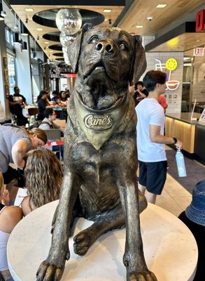 Raising Cane's Chicken Fingers by null