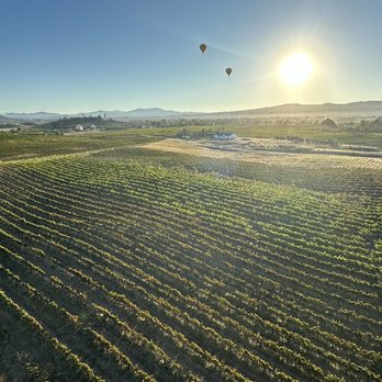 Compass Balloons - Coming in for the landing over vineyards. - Hot Air Balloons Near Me - Cardiff, California Compass Balloons - Coming in for the landing over vineyards. - Hot Air Balloons Near Me - Cardiff, California