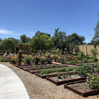 Bricoleur Vineyards - Rose garden - Wineries Near Me - Windsor, California