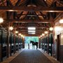 Thoroughbred Real Estate Group