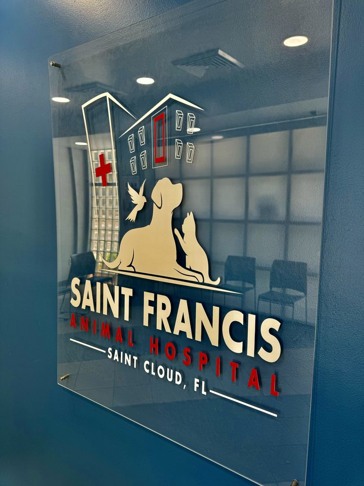 Saint Francis Animal Hospital - pet boarding facility in Saint Cloud, FL