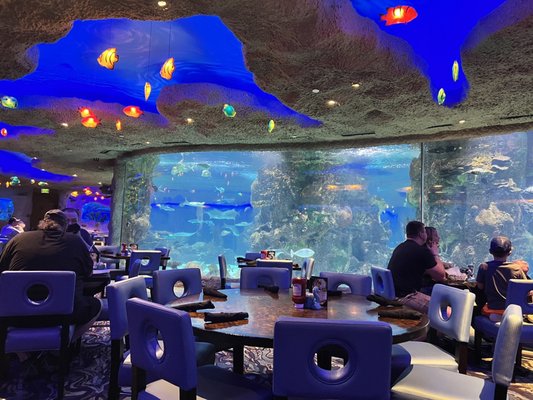 Aquarium Restaurant by null