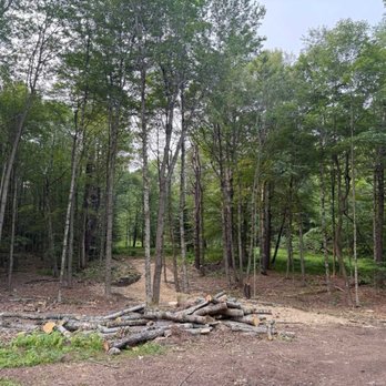 Willett's Forest and Property Maintenance - Tree Services Near Me Willett's Forest and Property Maintenance - Tree Services Near Me