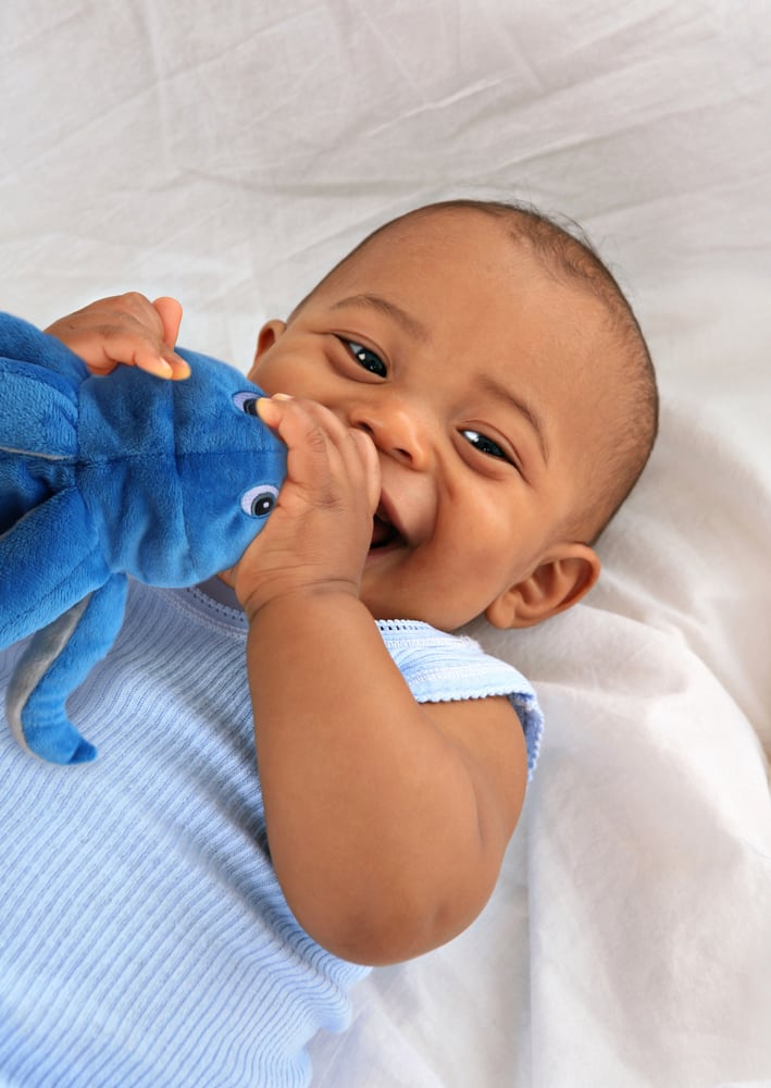 BOTTLE PETS 16 Photos 12441 Ventura Crt, Studio City, California