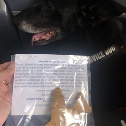 American Airlines - My dog, Daphne and her biscuit