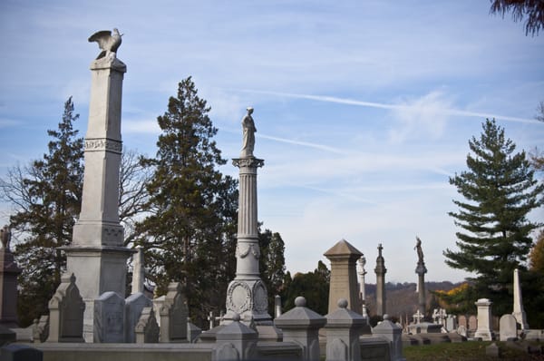 Laurel Hill East by null