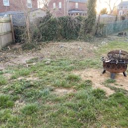 After tree removal After tree removal