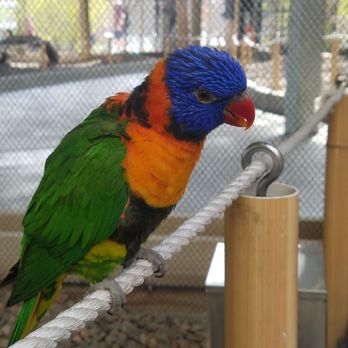 Indianapolis Zoo - Zoos Near Me - Indianapolis, Indiana Indianapolis Zoo - Zoos Near Me - Indianapolis, Indiana