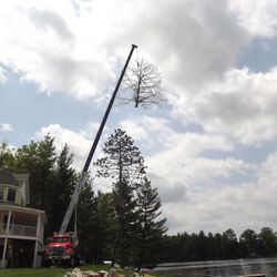 Oakridge Tree Service