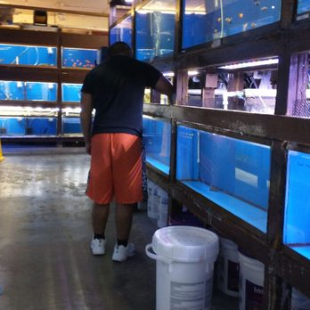 City Pets - Tank cleaning - Pet Stores Near Me - Houston, Texas City Pets - Tank cleaning - Pet Stores Near Me - Houston, Texas