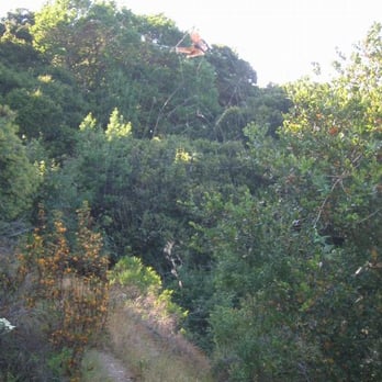Tiburon Uplands Natural Preserve - Spider web - Parks Near Me - Tiburon, California Tiburon Uplands Natural Preserve - Spider web - Parks Near Me - Tiburon, California