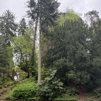 Volunteer Park Conservatory - Parks Near Me - Seattle, Washington Volunteer Park Conservatory - Parks Near Me - Seattle, Washington
