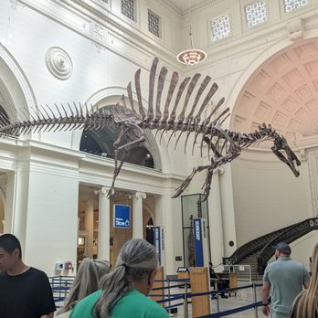 Field Museum - Museums Near Me - Chicago, Illinois