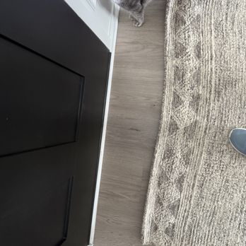 Sani-Bright Carpet Cleaning - Carpet Cleaning Near Me - Indianapolis, Indiana Sani-Bright Carpet Cleaning - Carpet Cleaning Near Me - Indianapolis, Indiana