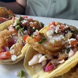 Spicy Tacis Spicy Tacis