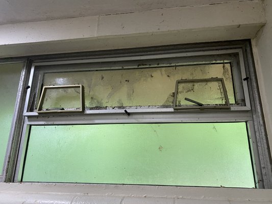 Meeman-Shelby Forest State Park by null