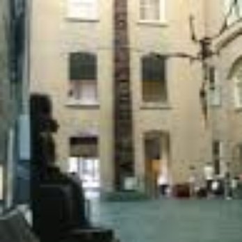World Museum - Museums Near Me - Liverpool, XMS World Museum - Museums Near Me - Liverpool, XMS