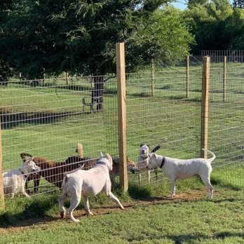 Animal Boarding Center - Pet Boarding Near Me - Tuttle, Oklahoma